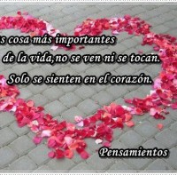 /album/poesifoto-cielo-del-alma/a487941-411661762215608-1402522093-n-jpg/