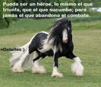 /album/poesifoto-cielo-del-alma/a251594-462526200446218-1897734004-n-jpg/